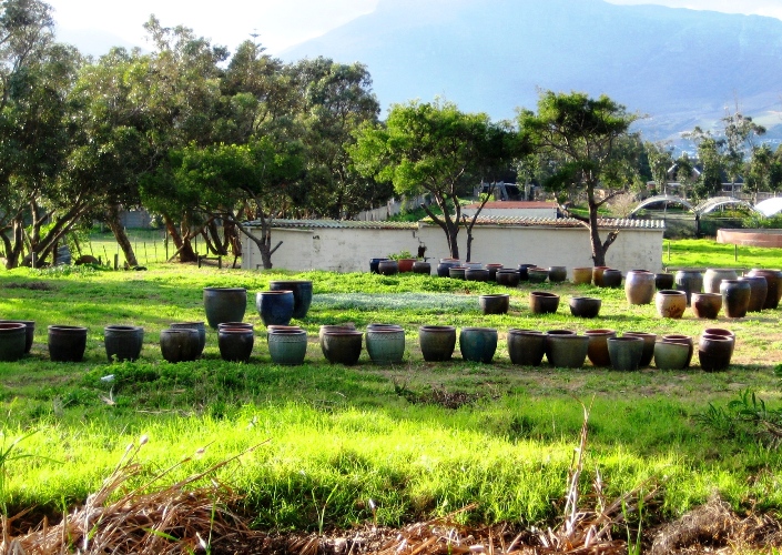 A view of the pottery in Cape Town.jpg